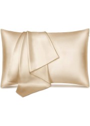 MahMir&reg; Silk Satin Pillowcase for Hair and Skin Queen - Champagne Gold Silk Pillowcase 2 Pack 75L x 50W CM (20x30 Inches) - Satin Pillow Cases Set of 2 with Envelope Closure (Champagne)