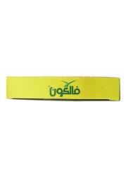 Falcon Biodegradable Flap Sandwich Clear 100 Bags