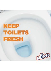 Mr. Muscle 3in1 Marine In-Tank Block Toilet Refresher 50g Pack of 2