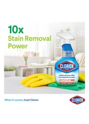 Clorox Multipurpose Spray Cleaner 750ml