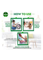 Dettol Original Anti-Bacterial Antiseptic Disinfectant 2L