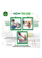Dettol Anti-Bacterial Antiseptic Disinfectant 250ml