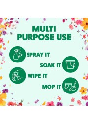 Zoflora Multi Purpose Concentrated Disinfectant Spring Time 500ml