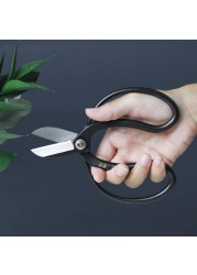 Wazakura Koryu Flower Arrangement Ikebana Scissors 65 in 165mm Made in Japan Floral Arrangement Hasami Japanese Kado Tools Yasugi Steel Koryu Scissors