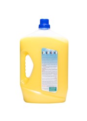 Dac Gold Multi-Purpose Disinfectant &amp; Liquid Cleaner Citrus 3L