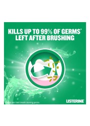 Listerine, Total Care Gum Protect Milder Taste, Fresh Mint, 250ml