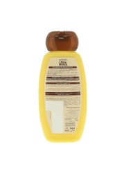 Garnier Ultra Doux Avocado Oil And Shea Butter Shampoo Clear 200ml