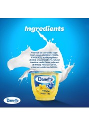 Danette Dessert Vanilla Flavour 90g