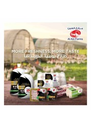 Al Ain Fresh Chicken Thigh 500g