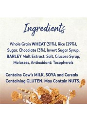 Nestle Fitness Chocolate Morning Boost Cereal, 375g