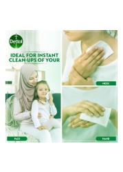 Dettol Anti-Bacteria 80 Wipes
