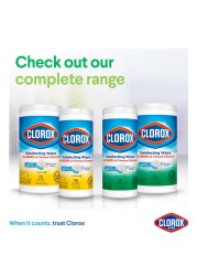 Clorox Disinfecting Wipes Fresh Scent 35 Wet Wipes