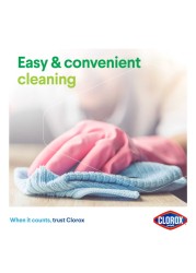 Clorox Multipurpose Spray Cleaner 750ml