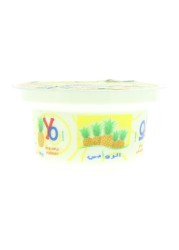 الروابي زبادي الأناناس مخفوق كامل الدسم 130 غرام