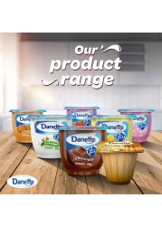 Danette Dessert Vanilla Flavour 90g