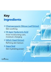 ISNTREE Ultra-Low Molecular Hyaluronic Acid Toner 300ml 10.14 fl.oz| Quick Absorbing Hyaluronic Acid Toner | Deeply hydrates and smoothens The Skin