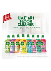 Dettol Antibacterial 3x Power Floor Cleaner Lavender 900ml Pack of 2