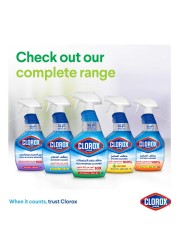 Clorox Multipurpose Spray Cleaner 750ml