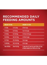 Purina ONE Chicken &amp; Rice Formula, Dog Food, 1.36kg