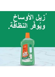 Mr. Muscle All Purpose Pine Liquid Floor Cleaner 1L