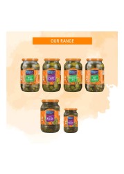 American Garden Dill Flavored Hamburger Pickle, 90.7g
